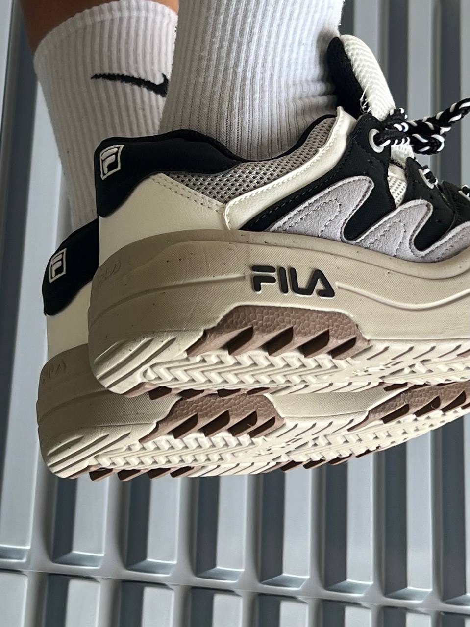 Fila rosetta