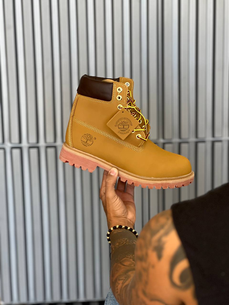 Timberland Clasica