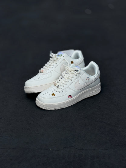 Af1 Año del pegasus