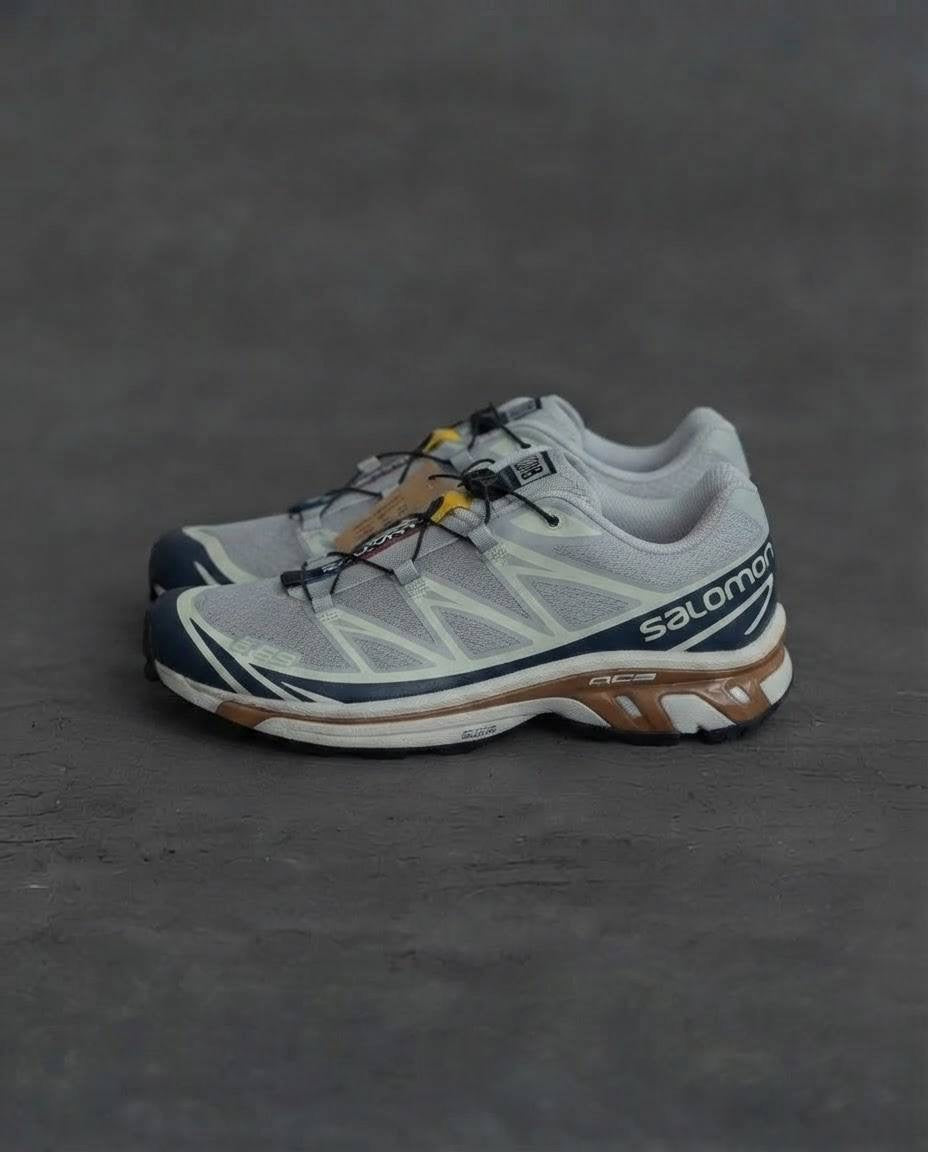 Salomon xt6 Gris cafe