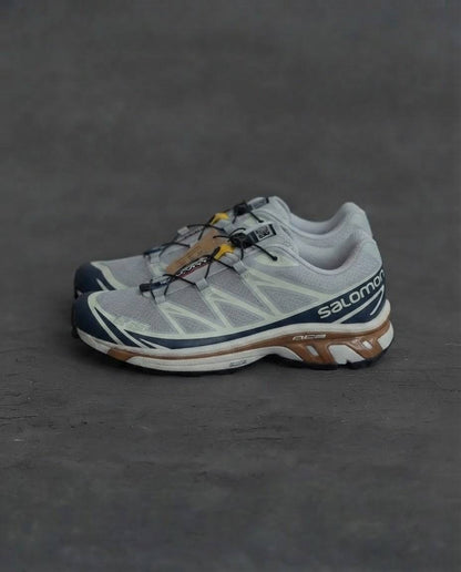 Salomon xt6 Gris cafe