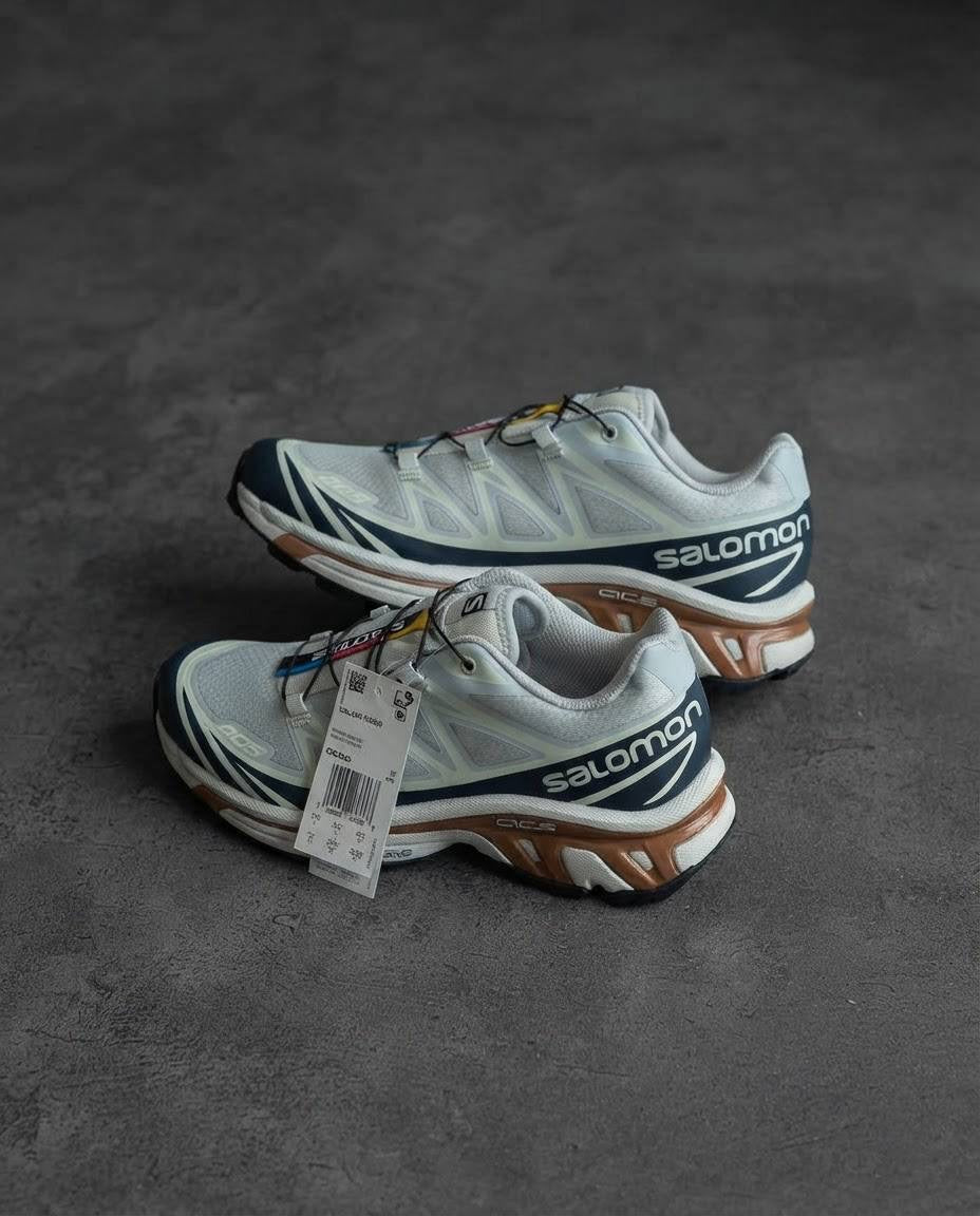 Salomon xt6 Gris cafe