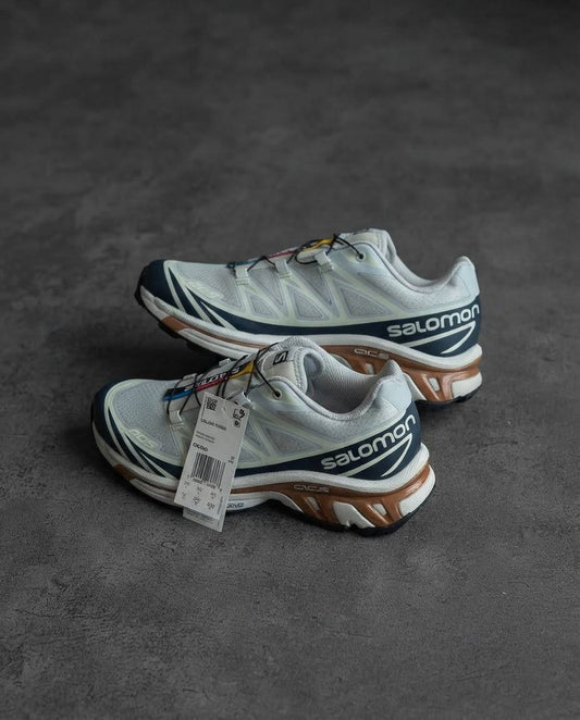 Salomon xt6 Gris cafe