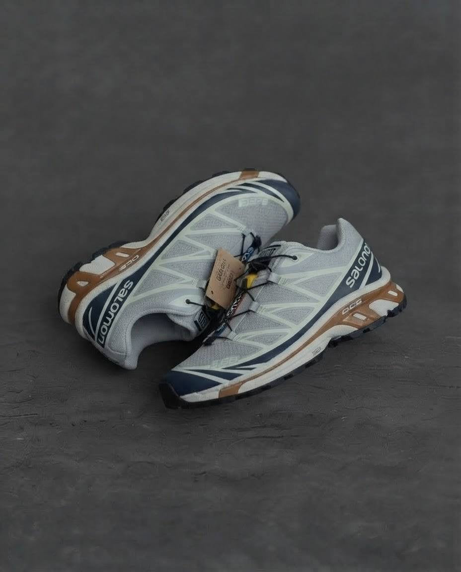 Salomon xt6 Gris cafe