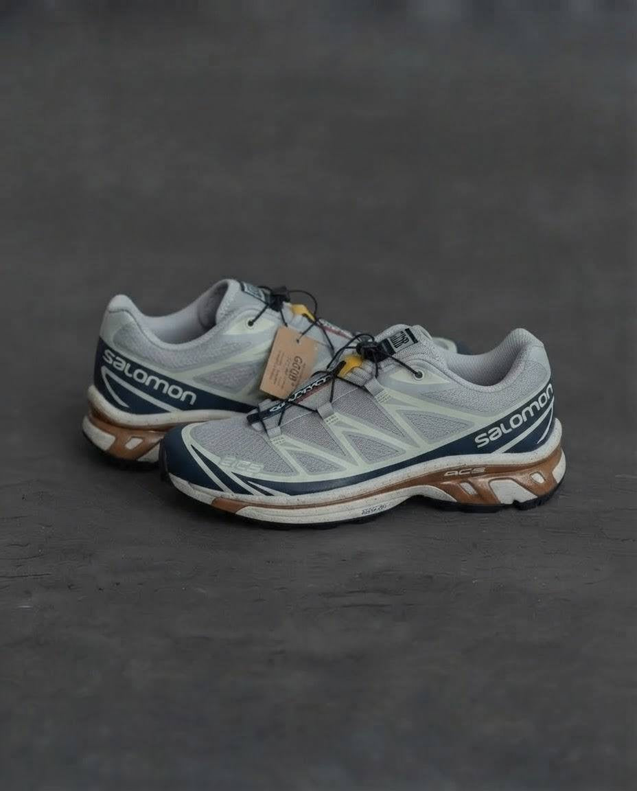 Salomon xt6 Gris cafe