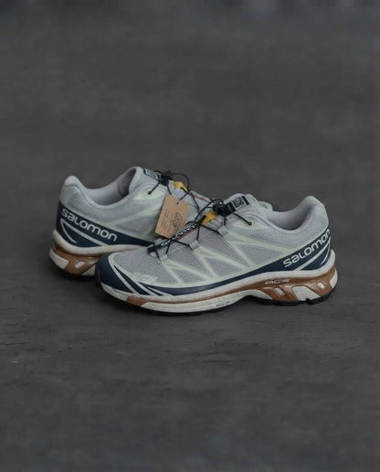 Salomon xt6 Gris cafe