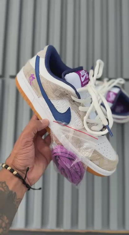 Nike Sb Raysa