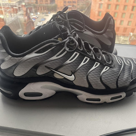 Nike Air Max Plus TN Plata foto 1