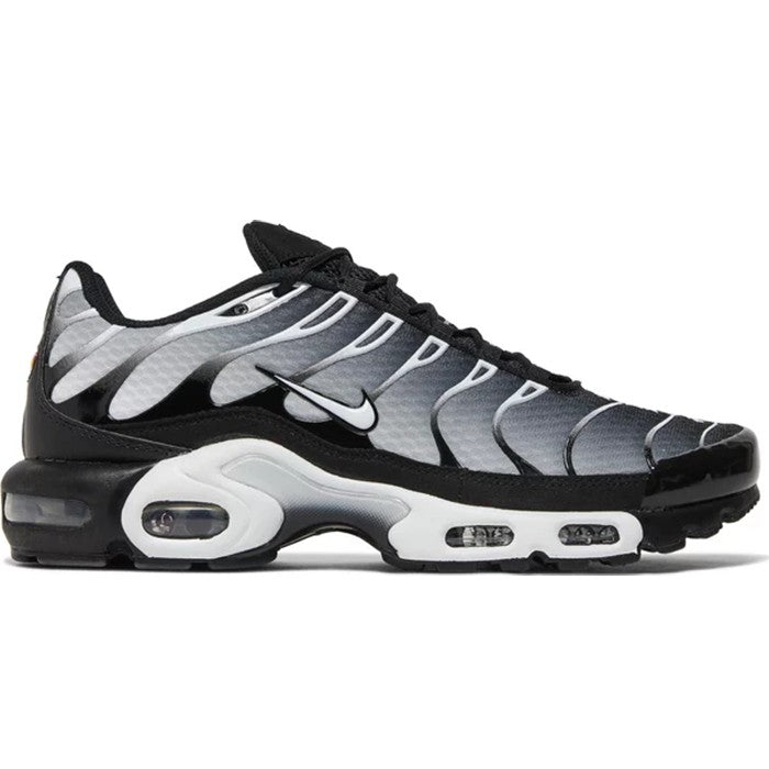 Nike Air Max Plus TN Plata foto 2