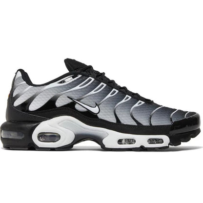 Nike Air Max Plus TN Plata foto 2